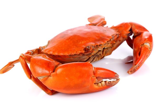 Crab