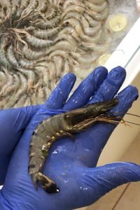 WhatsApp Image 2025-10-09 at 14.41.50 (3)